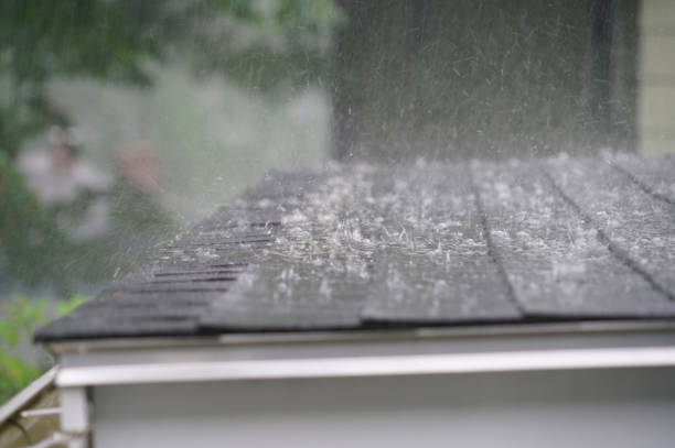 Best Roof Insulation Installation  in New Freedom, PA